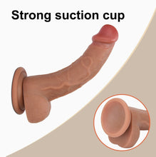 Load image into Gallery viewer, Peter