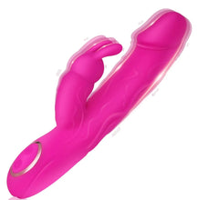 Load image into Gallery viewer, Sweet Lory