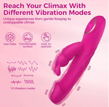 Load image into Gallery viewer, Sweet Lory