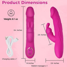 Load image into Gallery viewer, Sweet Lory