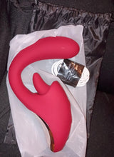 Load image into Gallery viewer, Licking Linda