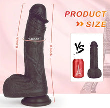 Load image into Gallery viewer, Derby