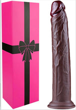 Load image into Gallery viewer, David