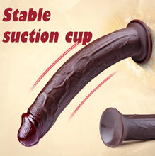 Load image into Gallery viewer, David