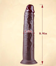 Load image into Gallery viewer, David