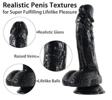 Load image into Gallery viewer, Robert