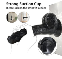 Load image into Gallery viewer, Robert