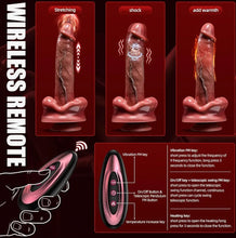 Load image into Gallery viewer, Springer