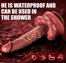 Load image into Gallery viewer, Springer