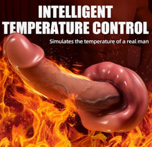 Load image into Gallery viewer, Springer