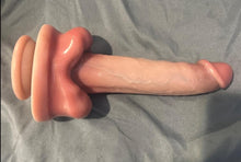 Load image into Gallery viewer, Springer