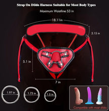 Load image into Gallery viewer, Rodeo