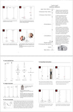 Charger l'image dans la galerie, 360° Stripper Pole
