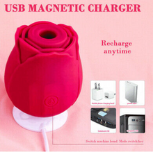 Charger l'image dans la galerie, Rose - Clitoral Suctioning Vibrator