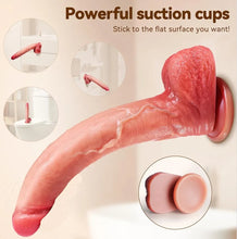 Load image into Gallery viewer, Slip N Slide
