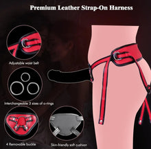 Load image into Gallery viewer, Rodeo
