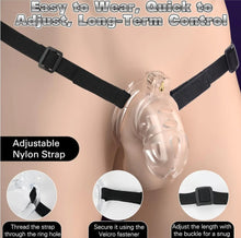 Load image into Gallery viewer, Chastity Cage with Belt
