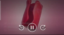Cargar y reproducir el video en el visor de la galería, Sexy Mouth
